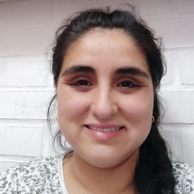 Babysitting job in Quilpué: Yessenia