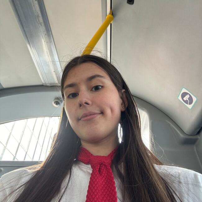 Babysitter em Waterford: Albina