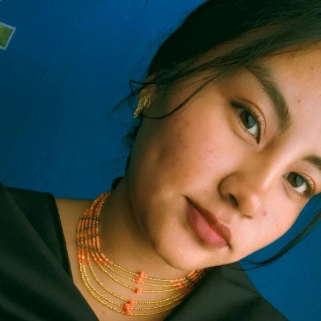 Babysitter in Quito: Vanessa