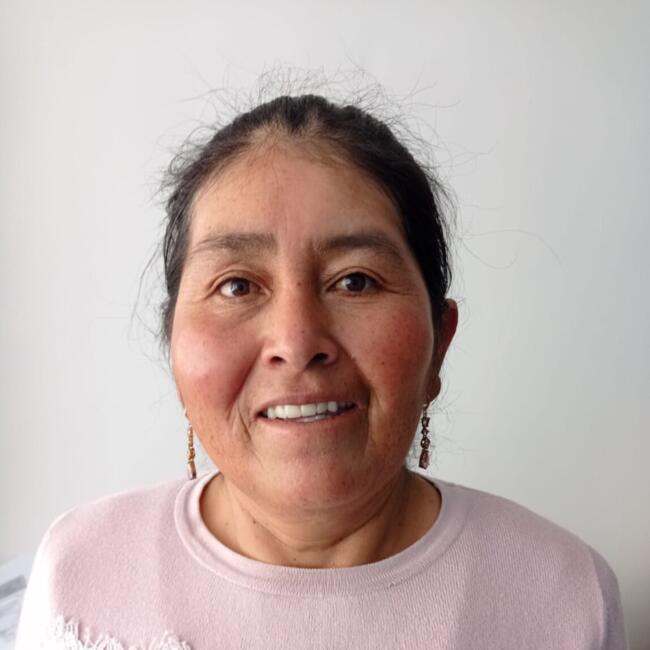 Babysitter in San Miguel (Departamento de Lima): Gloria