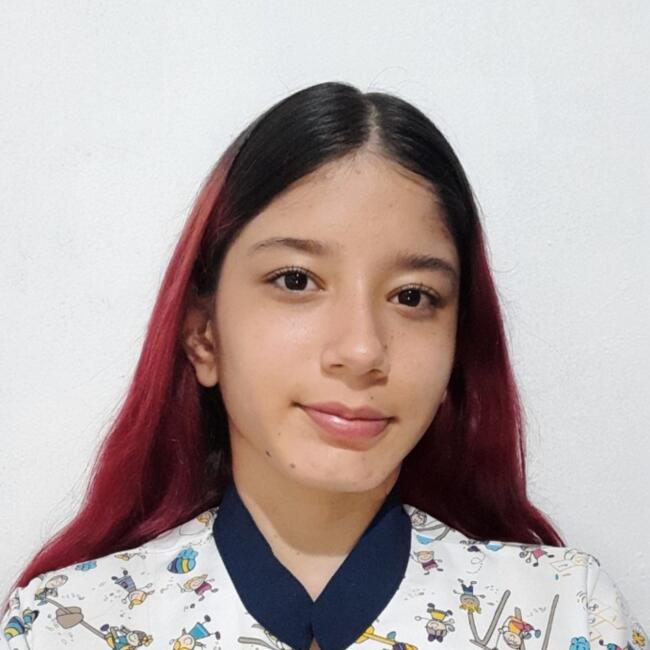 Babysitter in Bucaramanga: Liseth