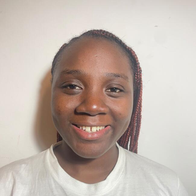 Babysitter in Brescia: Meleugo