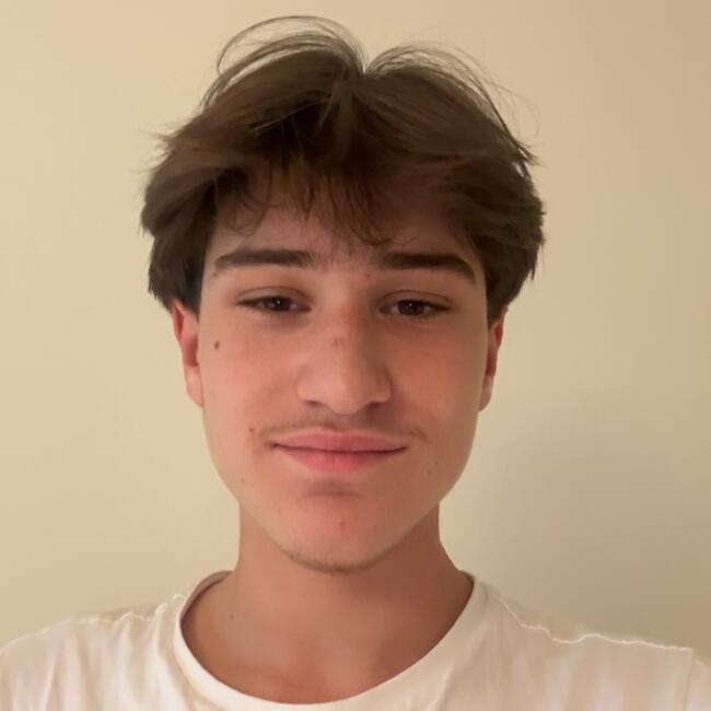 Babysitter in Bern: Amir