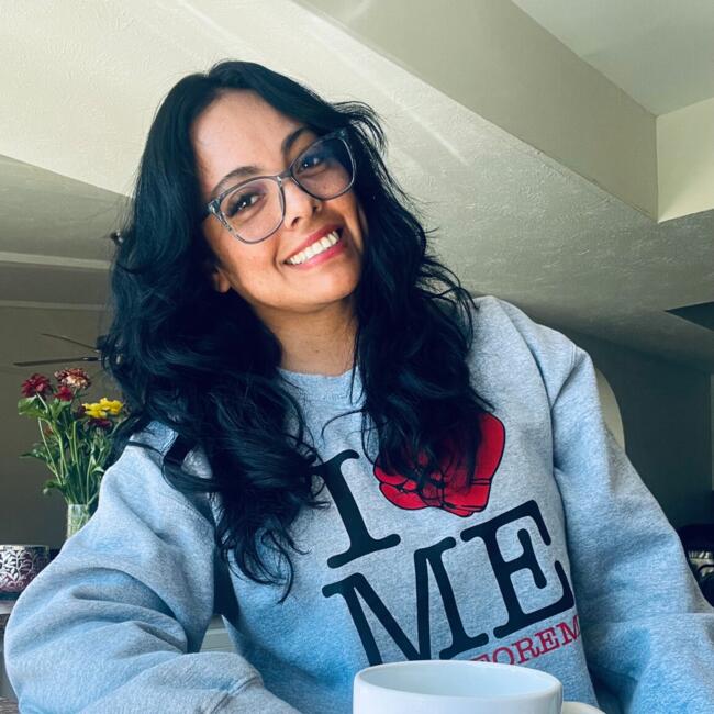 Babysitter in Garland: Ana Lidia