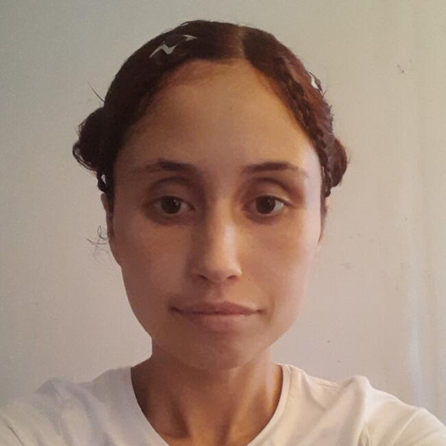 Babysitter in Santiago: Maria jose