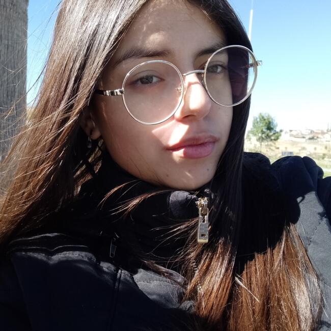 Babysitter in Ponta Grossa: Camila