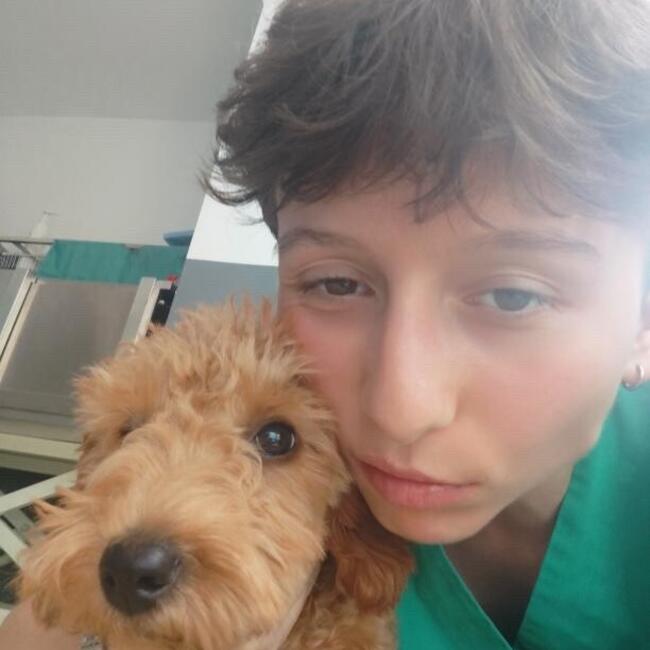 Babysitter in Cluj-Napoca: Clara