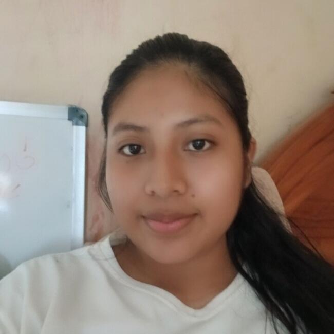 Babysitter in Panama City: Dimelsa Prado