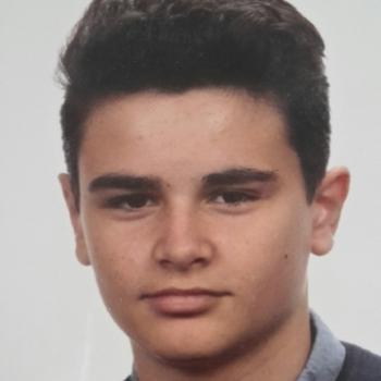 Baby-sitter in Sambreville: Alexandre