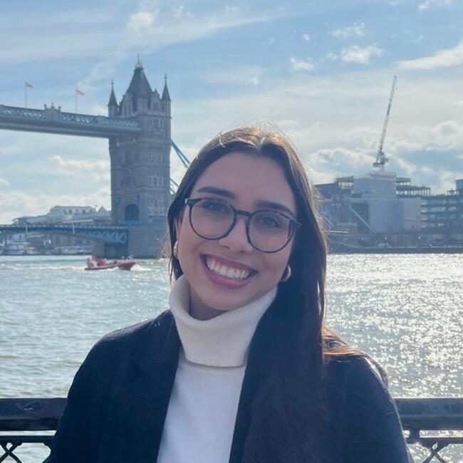 Babysitter in Vizela (Distrito de Braga): Beatriz