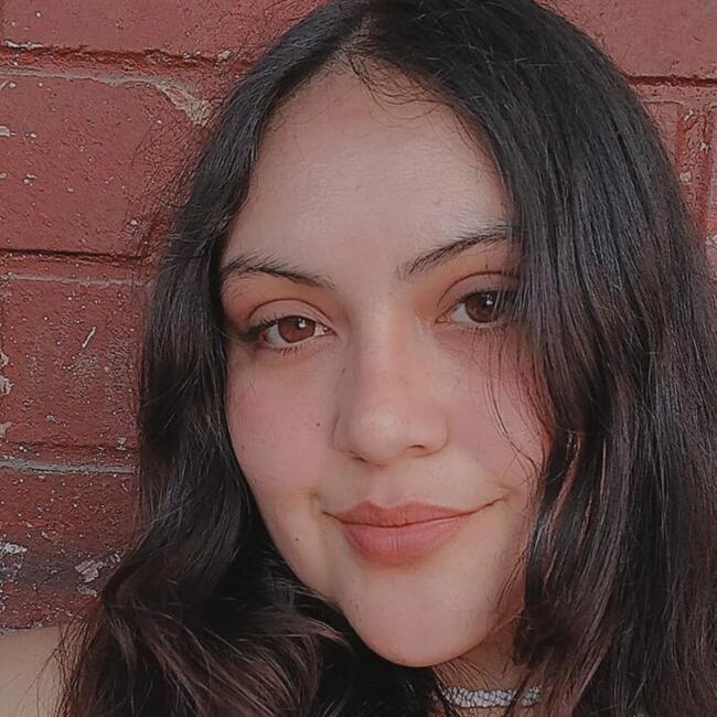 Babysitter in Valdivia: Solange