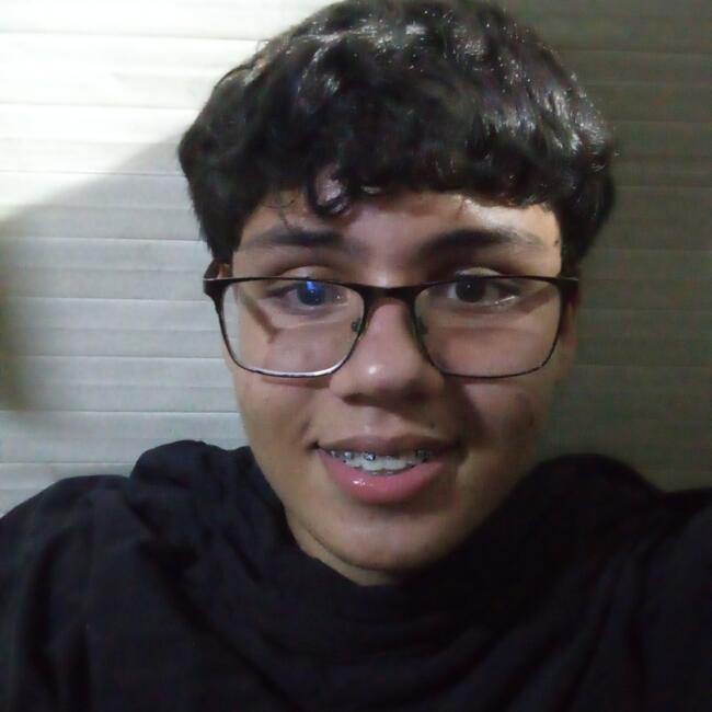 Babysitter in Maracay: Gabriel