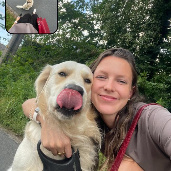 Babysitter in Malle: Lien