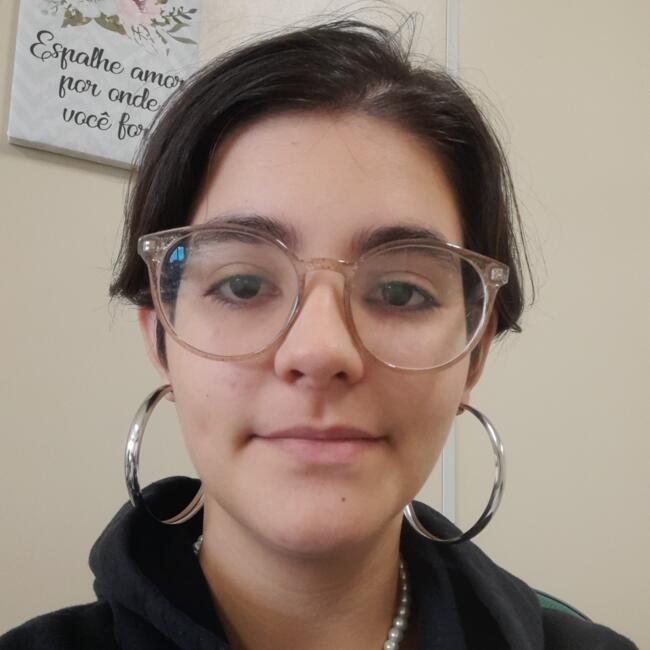 Babysitter in Criciúma: Alex