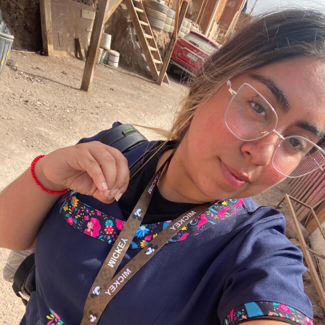 Babysitter in Antofagasta: Yajaira