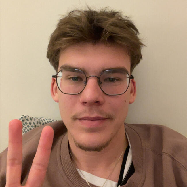 Babysitter in Strasbourg: Eloan