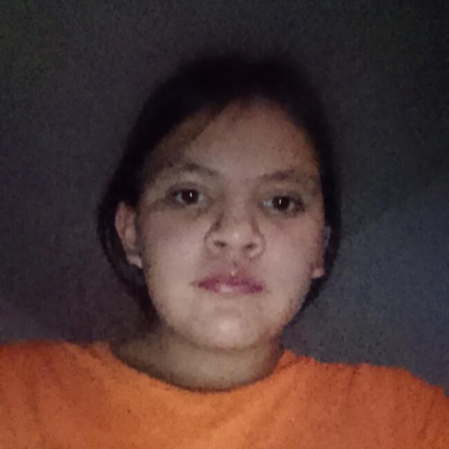 Babysitting job in Culiacán: Rosa Valeria Kimberly