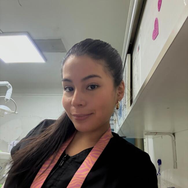 Babysitter in Santiago: Barbara Santos