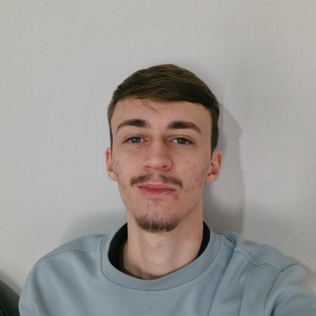 Babysitter in São José do Rio Preto: Daniel