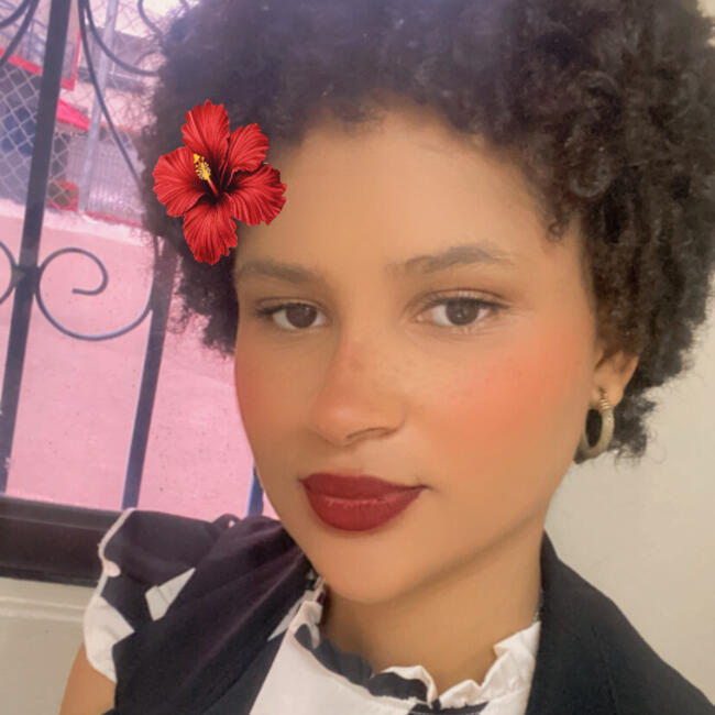 Niñera en Santo Domingo (Distrito de Santo Domingo): Eloísa Estebania