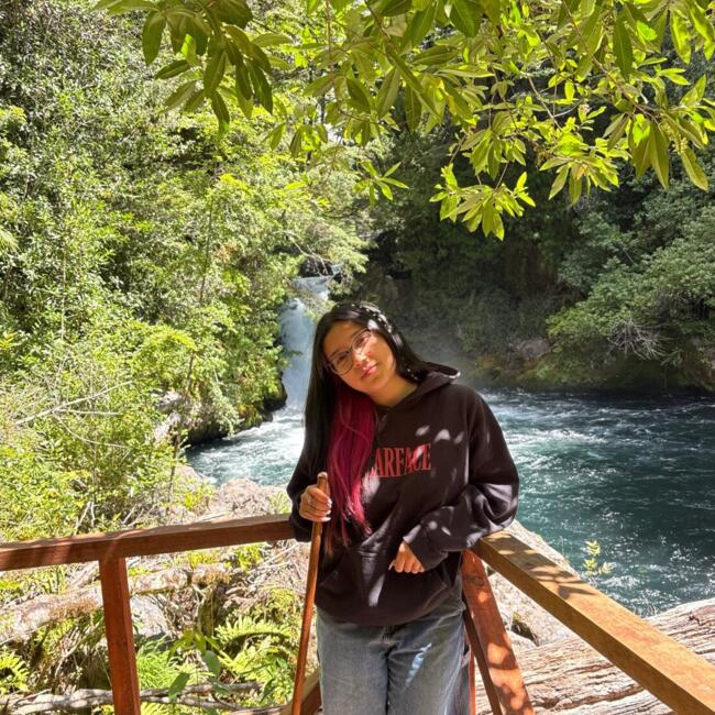 Babysitter in Concepción: Aylin