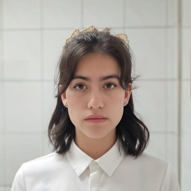 Babysitter in San Pedro de la Paz: Denisse