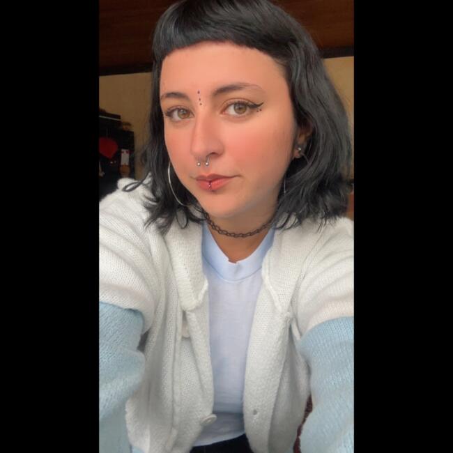 Babysitter in San Ramón: Fatima Zamora