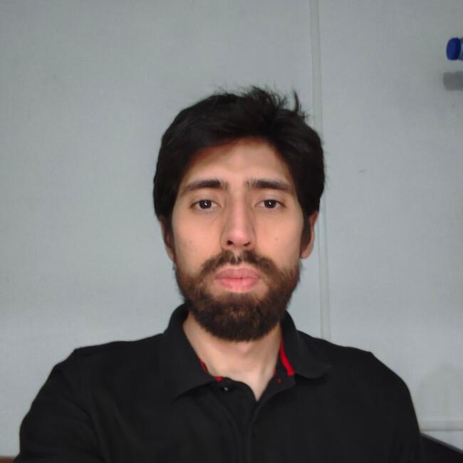 Babysitting job in Ciudad Benito Juárez: Joshua Fernando Palomo Robles