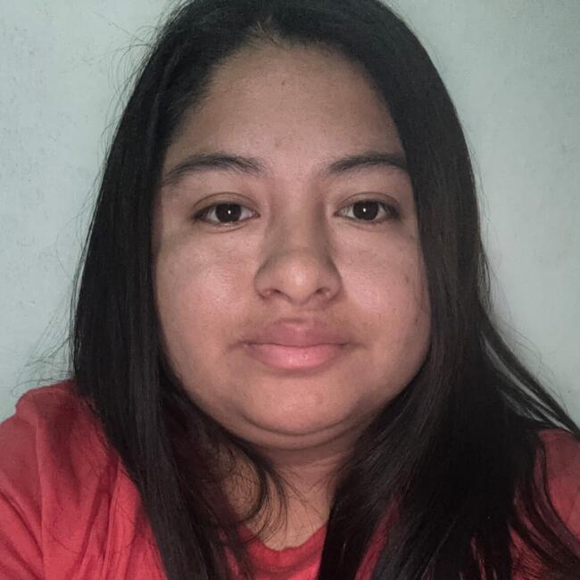 Babysitter in Santiago: Franchesca