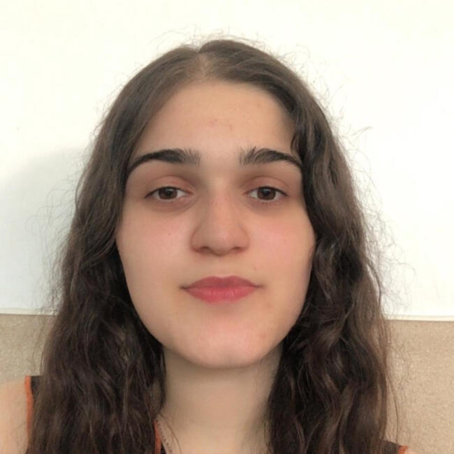 Babysitter em Viseu: Inês