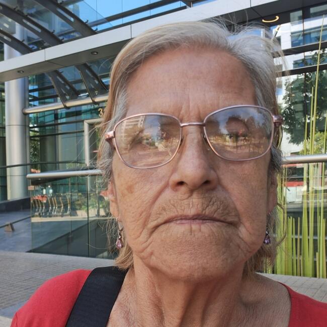 Babysitter in La Florida: Gladis