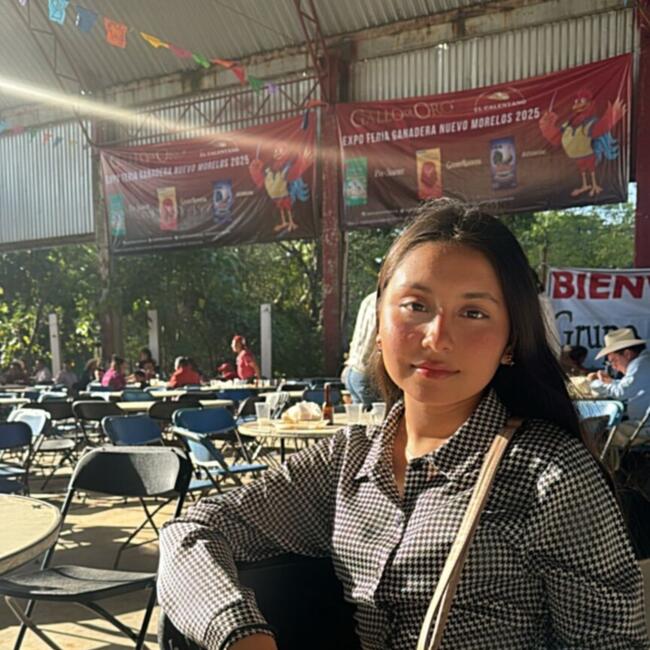 Babysitter in Xalapa: América
