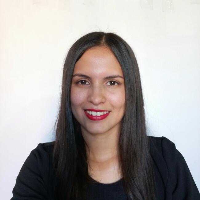 Niñera en Los Cerrillos: Karla F