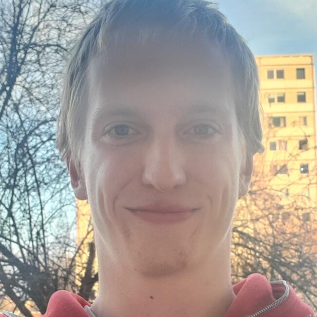 Babysitter in Halle (Saale): Dominik