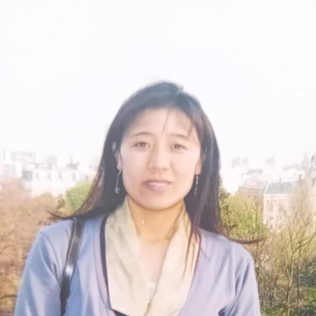 Babysitter in Orly: Dolma