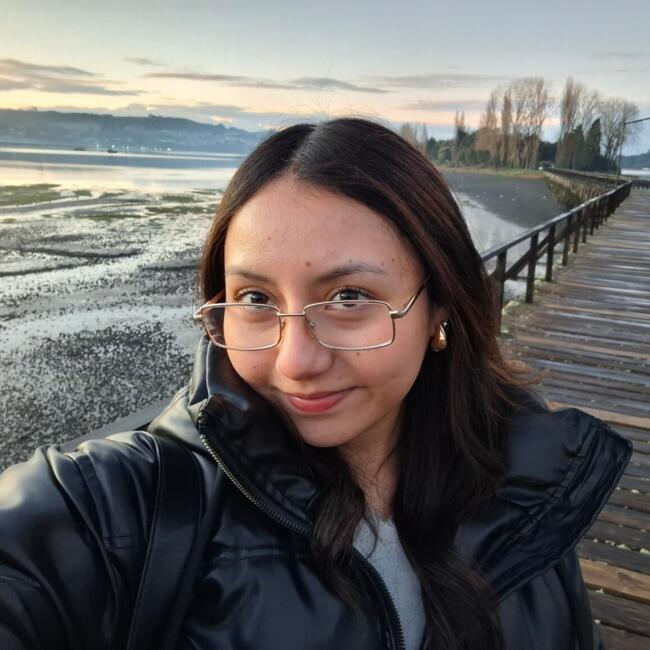 Babysitter in Valdivia: Maria jose