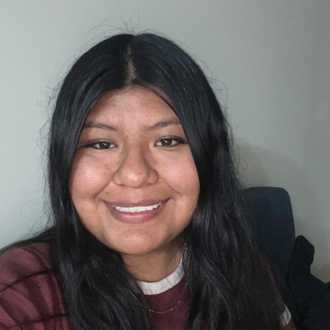 Babysitter in Antofagasta: Michelle