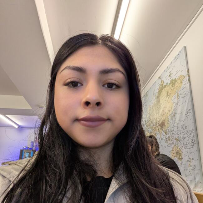 Babysitter in Dublin: Surisadai