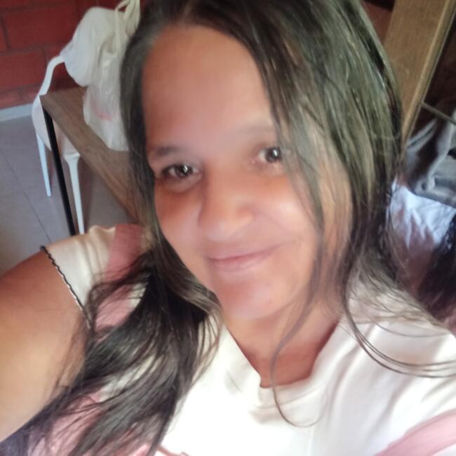 Babá em Guareí: Elza maria oliveira