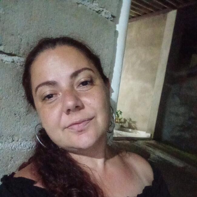 Babysitting job in São José dos Campos: Jéssica