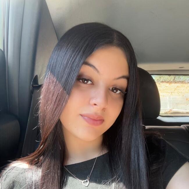 Babysitter in Mairinque: Vitoria