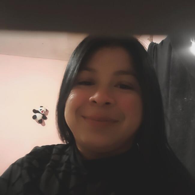 Niñera en Coquimbo: Franye lemus