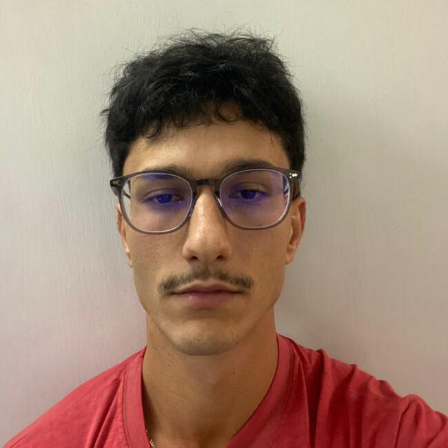 Babysitter in Leiria: Bruno