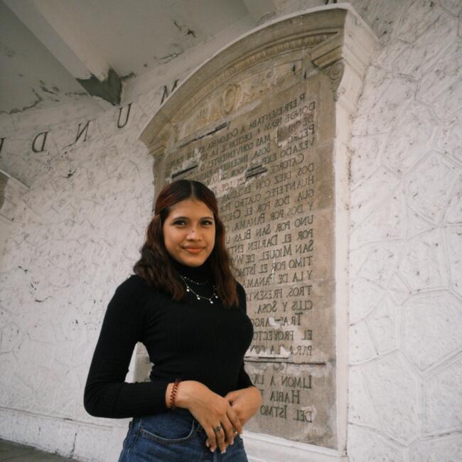 Babysitter in San Miguelito: Yeisibel