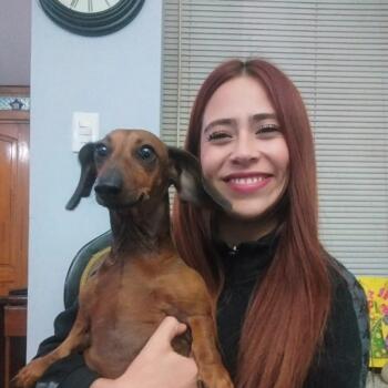 Babysitter in Maipú: Carmen Gloria