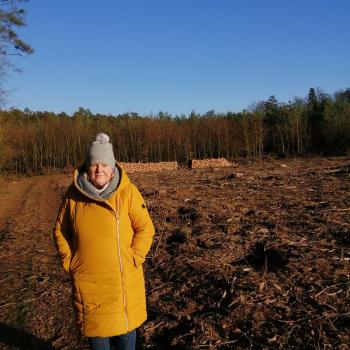 Opiekunka do dziecka w Poznań: Justyna