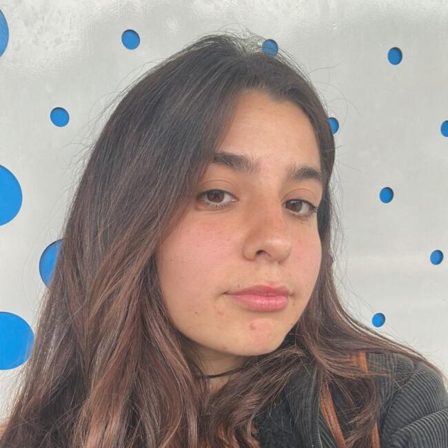 Niñera en Grand Bourg: Juliana