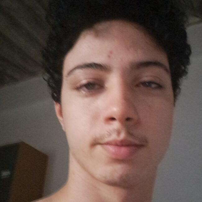 Babysitter in Nova Odessa: Cristopher