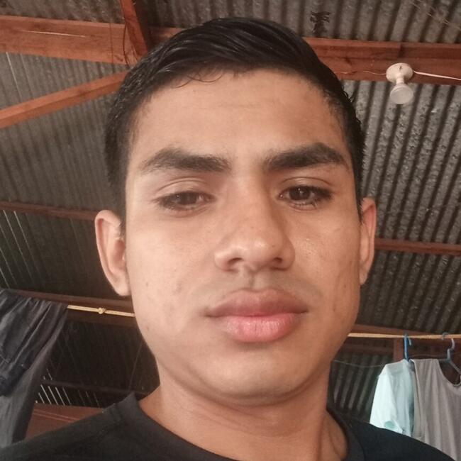 Babysitting job in Managua: Alva