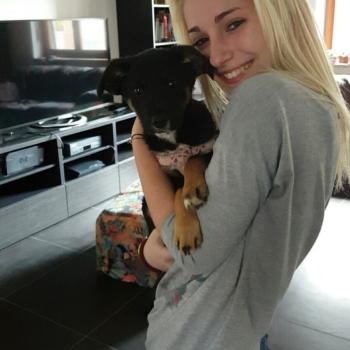 Babysitter Moncalieri: Cloe Caratto